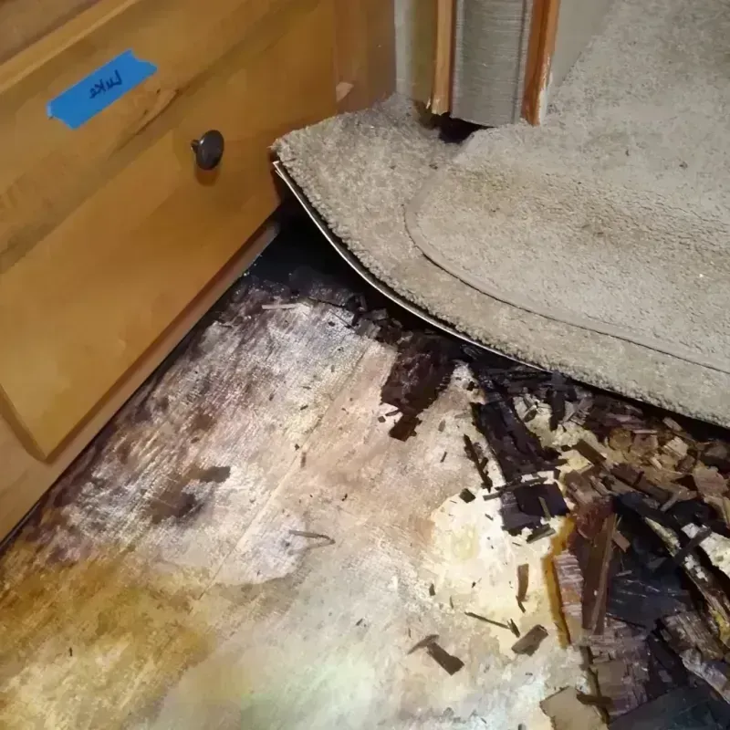 Wood Floor Water Damage in Rochester, WA